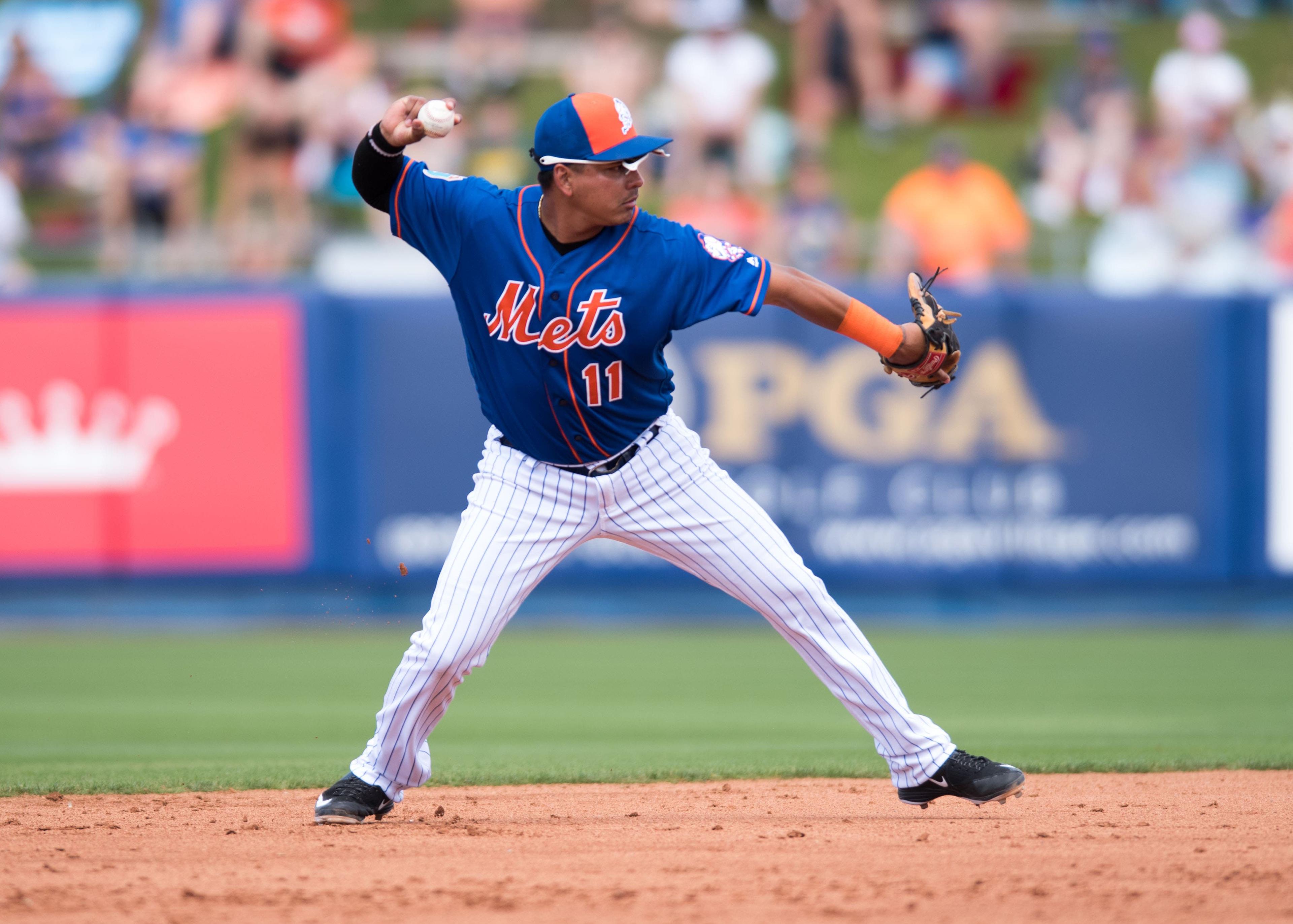 Ruben Tejada / Steve Mitchell/USA Today Sports Images