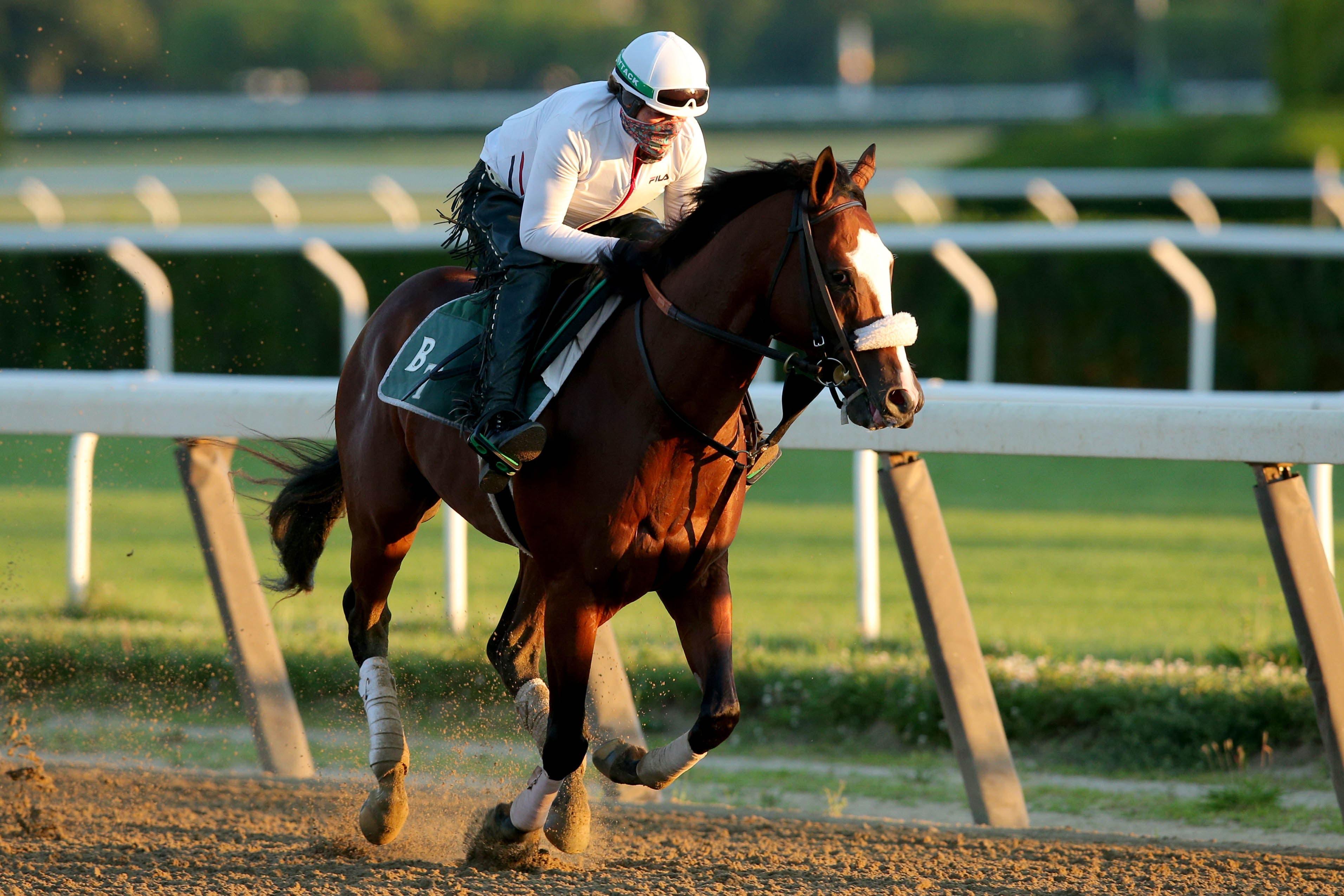 Jun 17, 2020; Elmont, New York, USA; Belmont Stakes favorite Tiz the Law runs on the main track during a morning workout at Belmont Park. Mandatory Credit: Brad Penner-USA TODAY Sports / Brad Penner