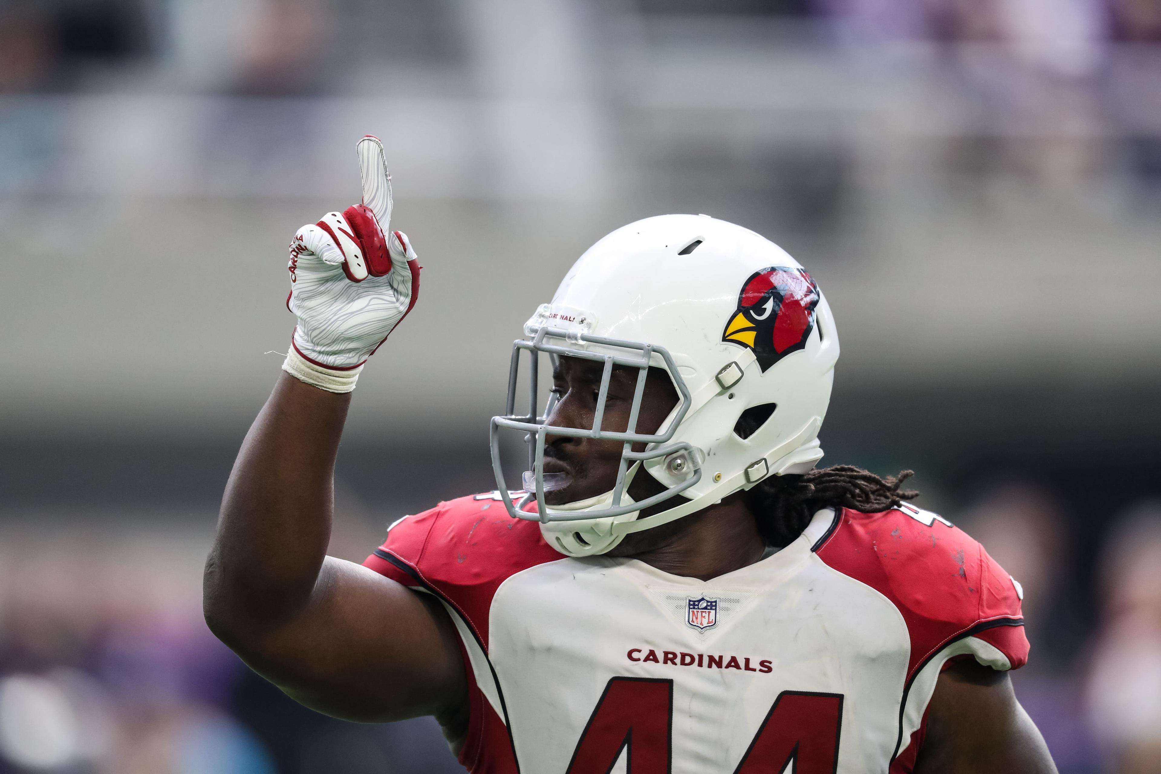 Oct 14, 2018; Minneapolis, MN, USA; Arizona Cardinals defensive end Markus Golden (44) celebrates during the fourth quarter against the Minnesota Vikings at U.S. Bank Stadium. Mandatory Credit: Brace Hemmelgarn-USA TODAY Sports / Brace Hemmelgarn