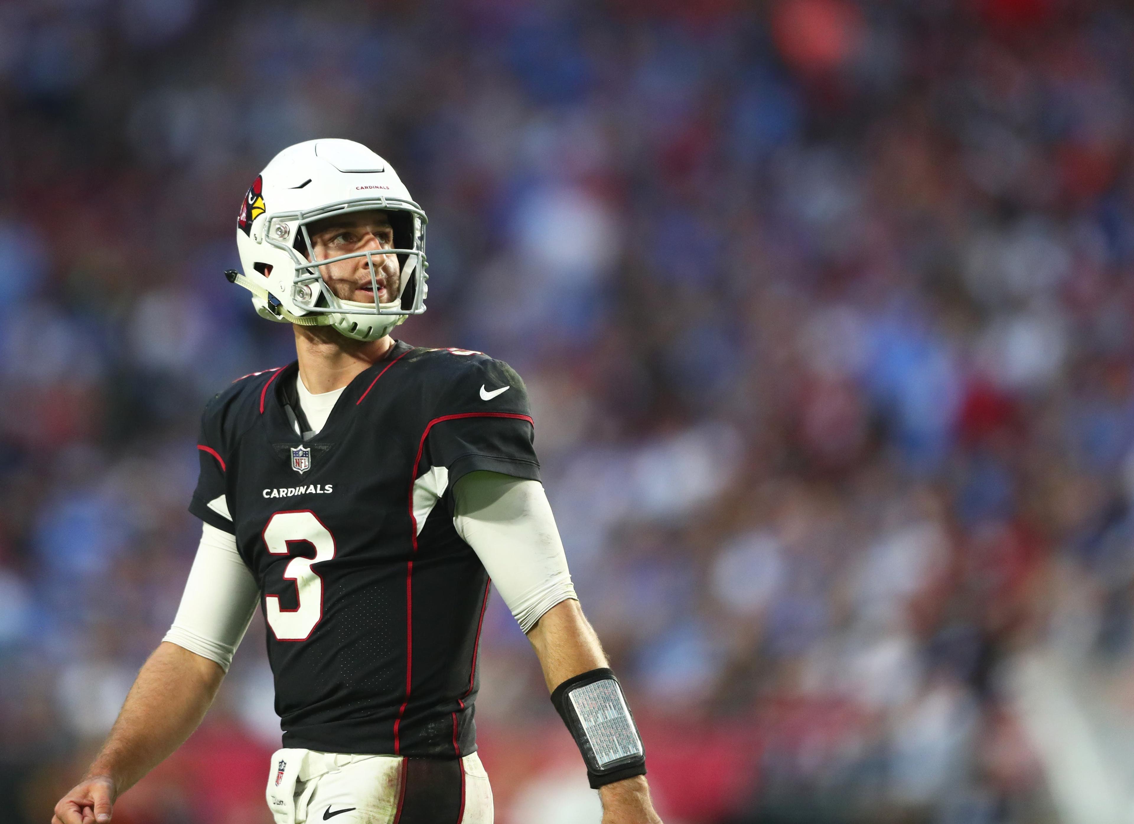 Arizona Cardinals quarterback Josh Rosen / Mark J. Rebilas/USA TODAY Sports