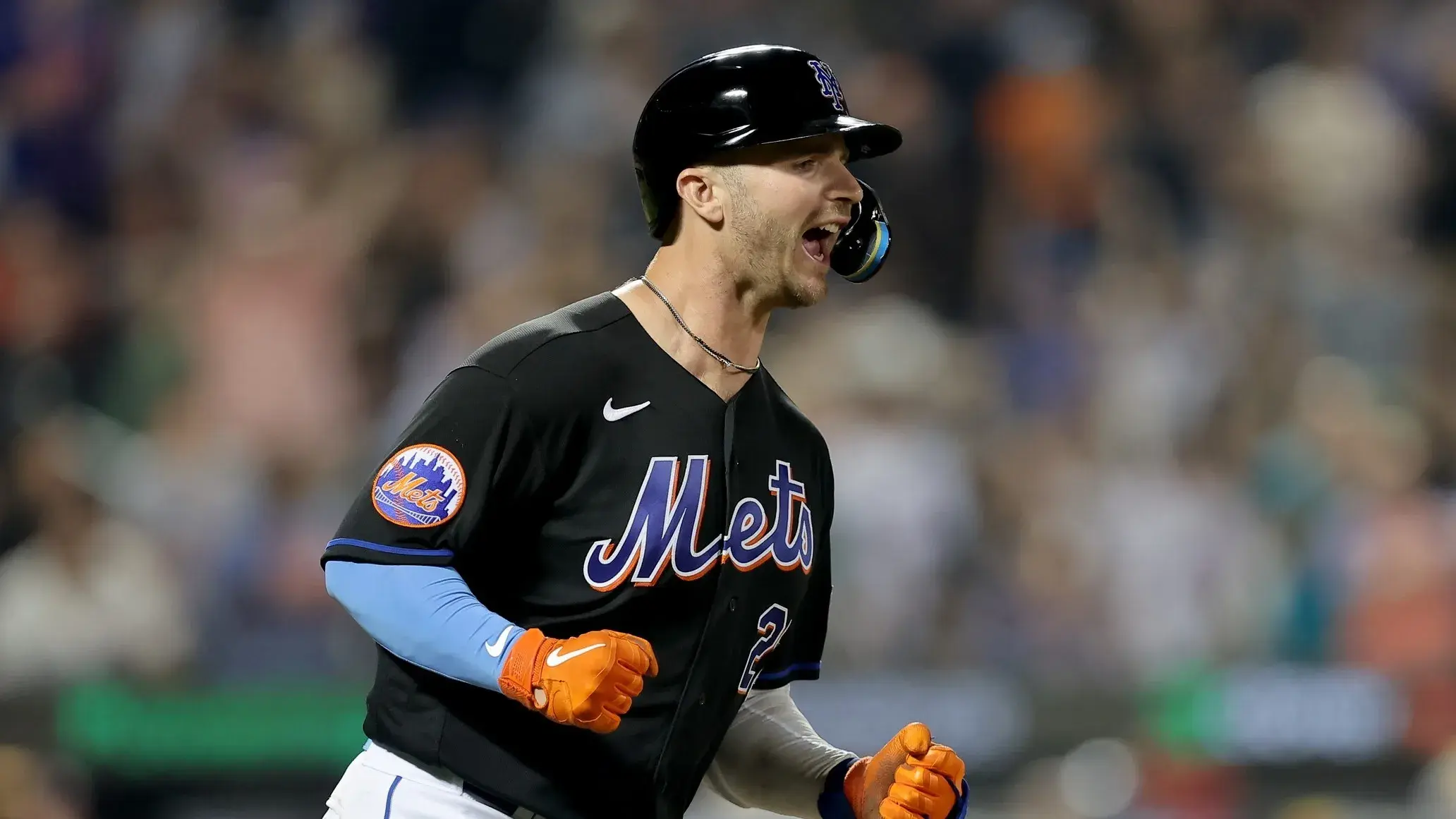 New York Mets first baseman Pete Alonso (20) reacts after hitting a two run home run against the Washington Nationals during the seventh inning at Citi Field. The home run was his second of the game. / Brad Penner-USA TODAY Sports