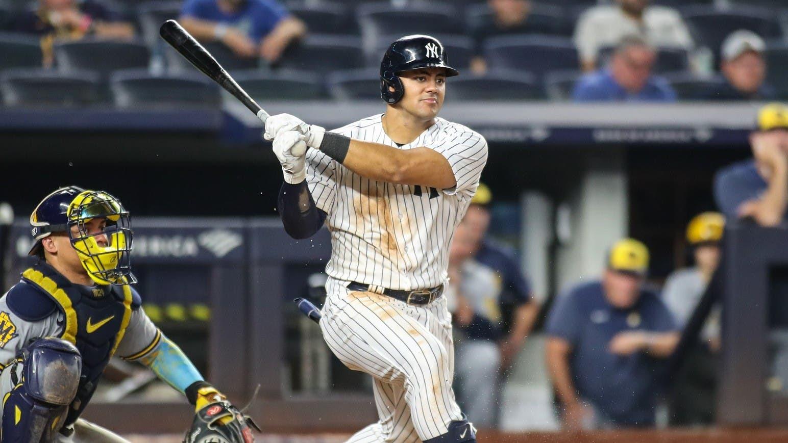 New York Yankees center fielder Jasson Dominguez (89) at Yankee Stadium. / Wendell Cruz-USA TODAY Sports