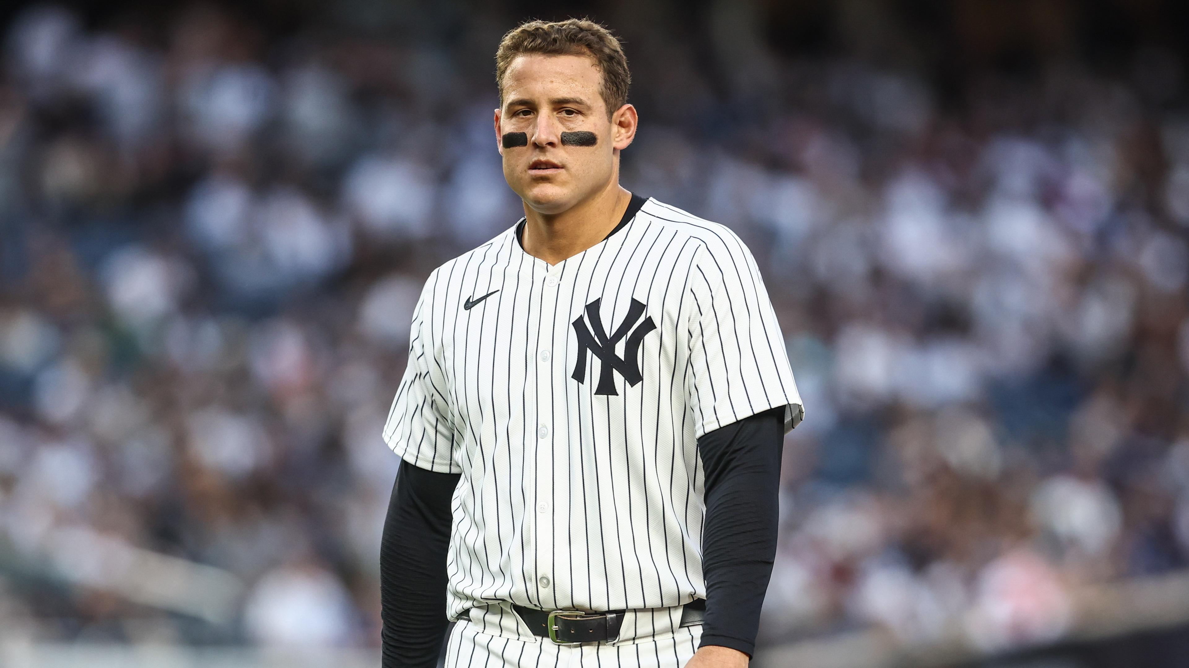 New York Yankees first baseman Anthony Rizzo (48) at Yankee Stadium / Wendell Cruz - USA TODAY Sports