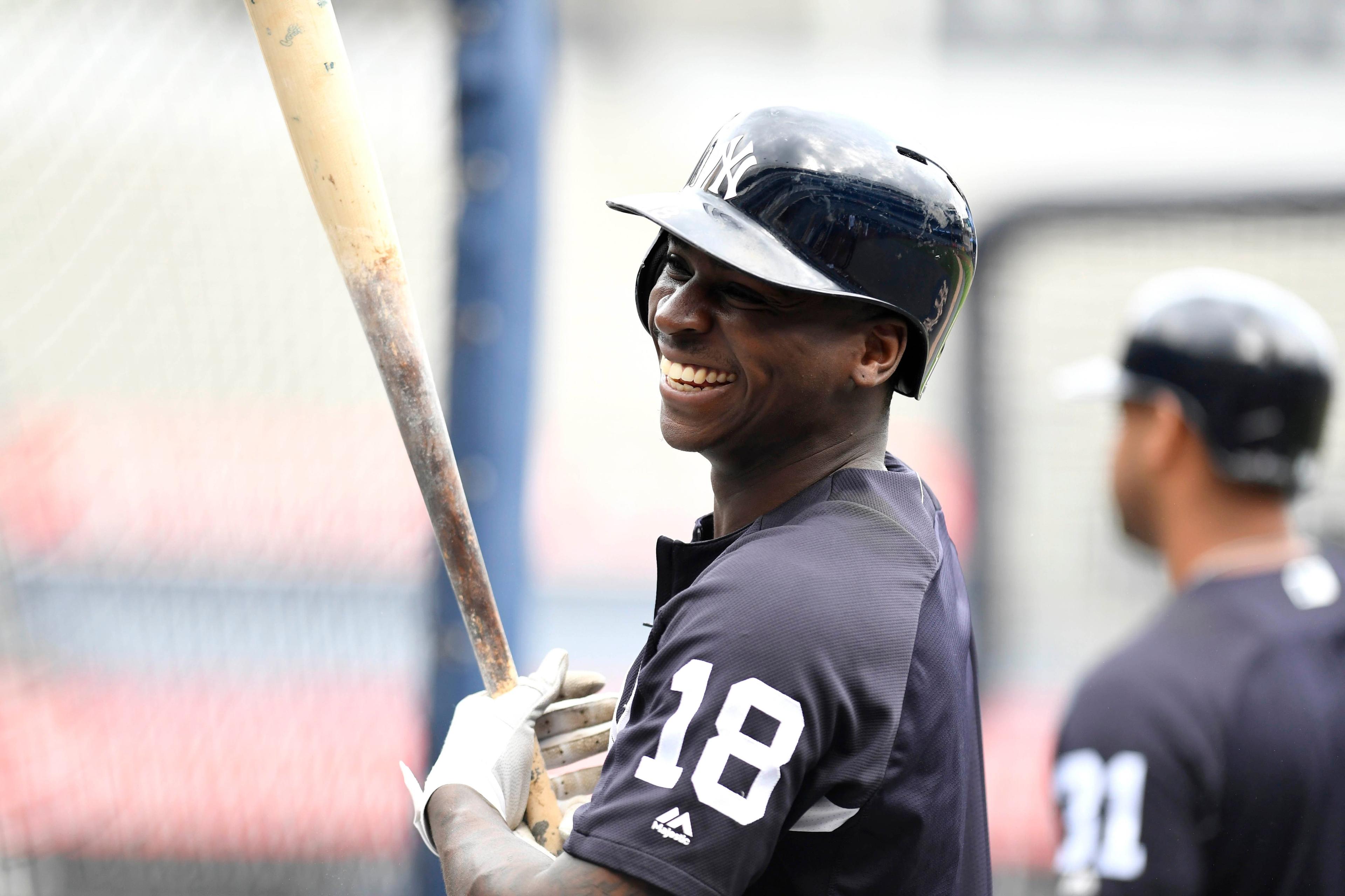 Oct 2, 2018; Bronx, NY, USA; New York Yankees shortstop Didi Gregorius during workouts one day before the 2018 American League Wild Card playoff baseball game at Yankee Stadium. Mandatory Credit: Danielle Parhizkaran/NorthJersey.com via USA TODAY Sports / Danielle Parhizkaran