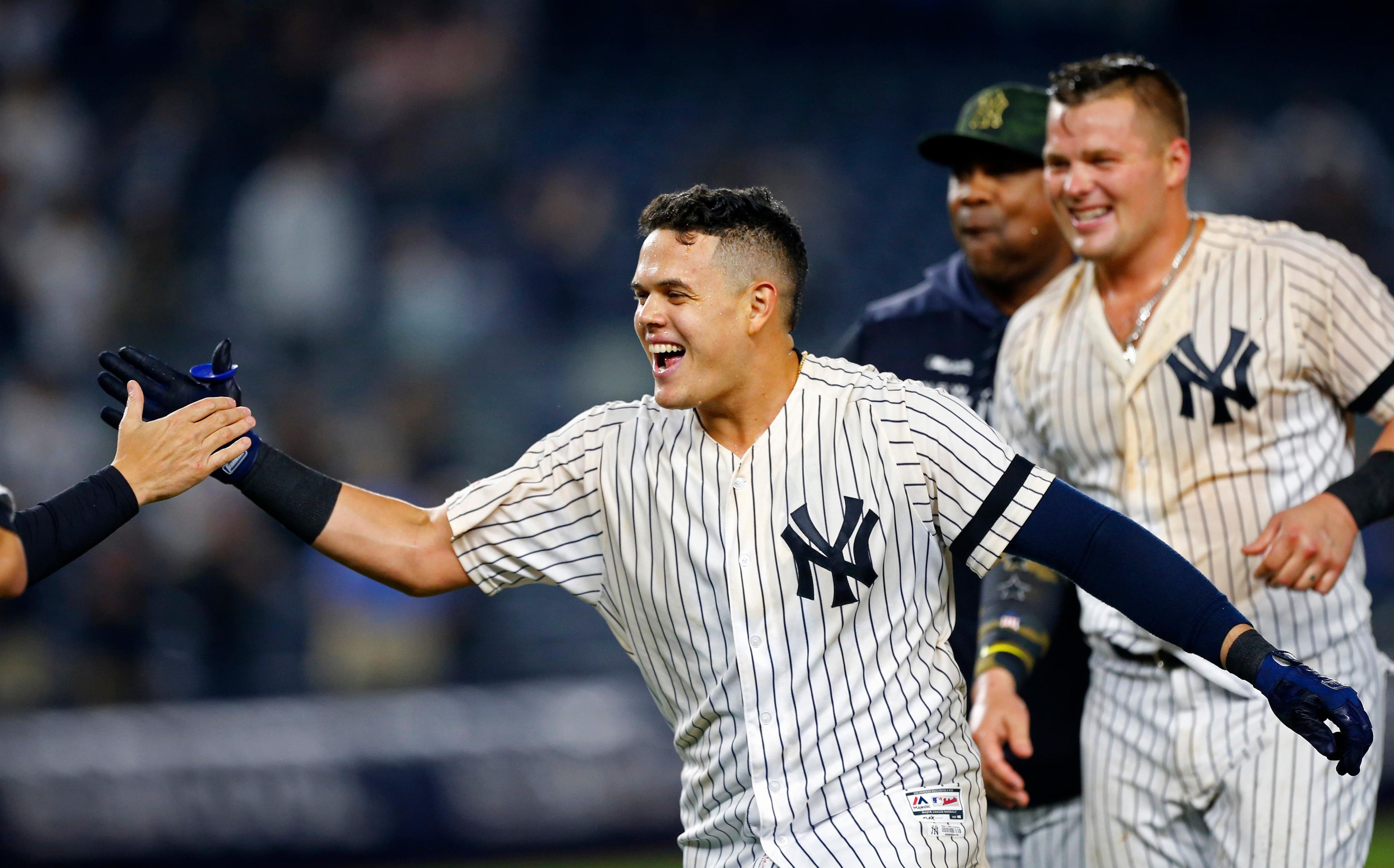 May 17, 2019; Bronx, NY, USA; New York Yankees third baseman Gio Urshela (29) celebrates after hitting a walk off single in the ninth inning against the Tampa Bay Rays at Yankee Stadium. Mandatory Credit: Noah K. Murray-USA TODAY Sports / Noah K. Murray