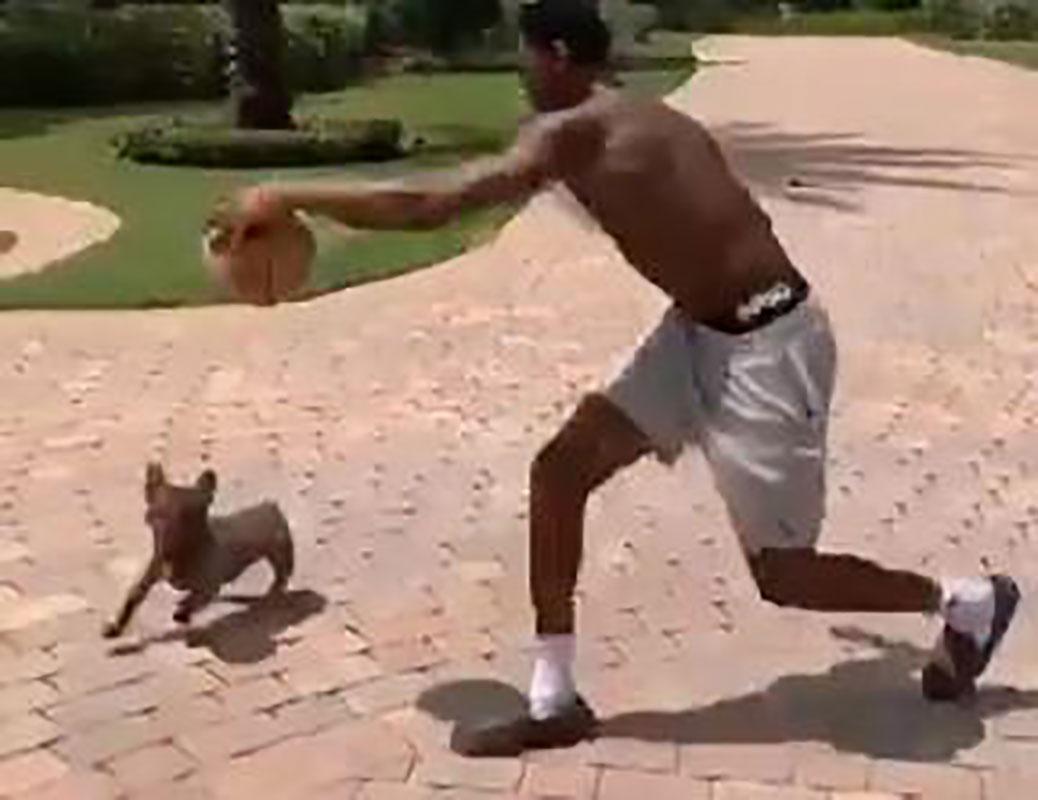 WATCH: Knicks' RJ Barrett absolutely crosses up his dog Kingston