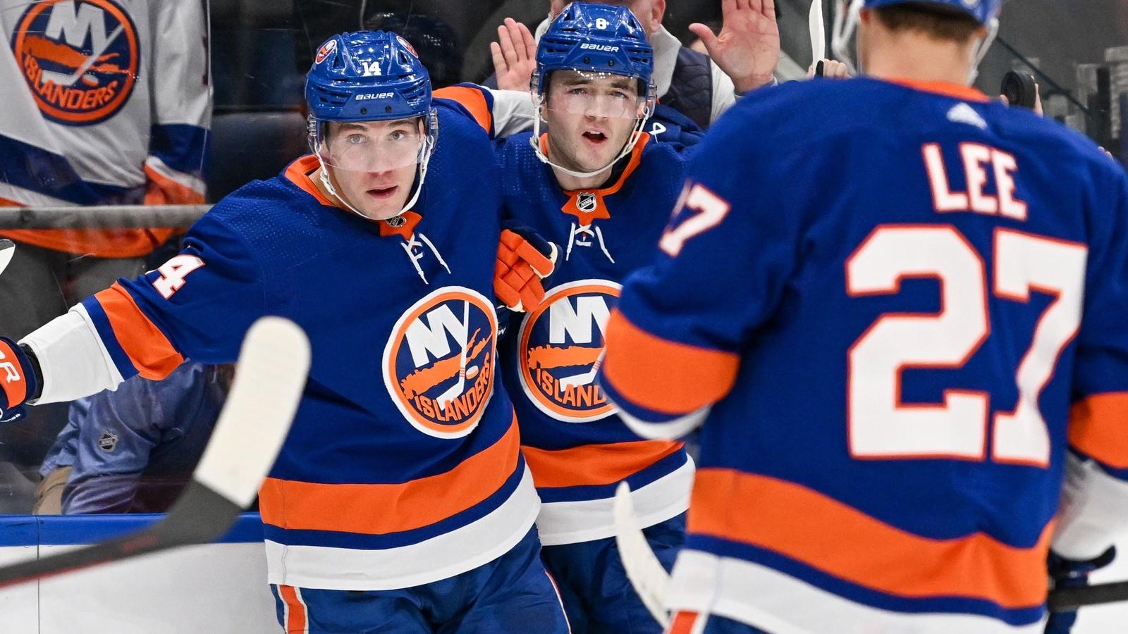 New York Islanders center Bo Horvat (14) celebrates the goal by New York Islanders defenseman Noah Dobson (8) against the Washington Capitals during the second period at UBS Arena. / Dennis Schneidler-USA TODAY Sports