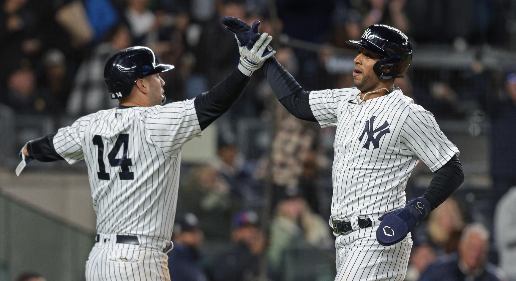 New York Yankees first baseman Marwin Gonzalez (14) and left fielder Aaron Hicks (31) celebrate after scoring during the fifth inning against the Boston Red Sox at Yankee Stadium. / Vincent Carchietta-USA TODAY Sports